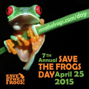 Icon-Save-The-Frogs-Day-2015-square-500