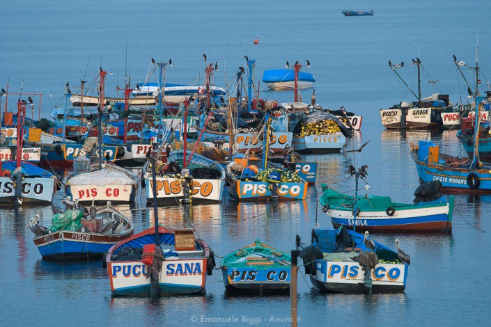 The desert and the sea: the Paracas desert
